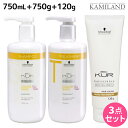 【ポイント3倍!24日20時から】シュワルツコフ BCクア カラーセーブ シャンプー a 750mL + トリートメント a 750g + プロテクションスムース a 120g セット / 【送料無料】 美容室 サロン専売品 美容院 ヘアケア schwarzkopf シュワルツコフ おすすめ品
