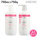 【9/1限定ポイント3倍】シュワルツコフ BCクア フォルムコントロール シャンプー a 750mL + トリートメント a 750g セット / 【送料無料】 美容室 サロン専売品 美容院 ヘアケア schwarzkopf シュワルツコフ おすすめ品