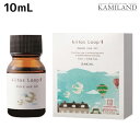 【4/20限定ポイント2倍】サンコール キートス ループ モアユース オイル 10mL / 美容室 サロン専売品 美容院 ヘアケア スタイリング剤 乾燥 保湿 kiitos ヘアーオイル