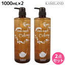【11/1限定ポイント3倍】サニープレイス ヘアオペ ナノサプリ クレンジングシャンプー ウーロン 1000mL ×2個 セット / 美容室 サロン専売品 美容院 ヘアケア サニープレイス
