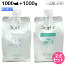 ★最大2,000円OFFクーポン配布中★タマリス ソルティール シャンプー 1000mL トリートメント 1000g 詰め替え 《アップル ピオニー ジャスミン アイス》 選べるセット / 【送料無料】美容室 サロン専売品 美容院 ヘアケア さらさら しっとり クール ひんや