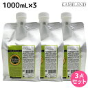 【ポイント3倍!24日20時から】ヴィーダテラ ヘアソープ 1000mL 詰め替え ×3個 セット / 【送料無料】 1L 美容室 サロン専売品 美容院 ヘアケア オーガニック エイジングケア