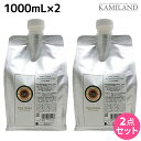 【5/1限定ポイント3倍】ヴィーダテラ アンバーシャンプーネオ 1000mL 詰め替え ×2個 セット / 【送料無料】 1L 美容室 サロン専売品 美容院 ヘアケア オーガニック カラーケア