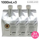 【ポイント3倍!24日20時から】ヴィーダテラ アンバーシャンプーネオ 1000mL 詰め替え ×3個 セット / 【送料無料】 1L 美容室 サロン専売品 美容院 ヘアケア オーガニック カラーケア