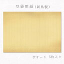 かみもん 写経用紙 no.600 渋オード 5枚入り 新鳥の子 天地ボカシ 空摺り 金銀砂子切箔 罫線入り 柄入り お手本なし 唐草模様 金箔 銀箔 鳥の子紙 職人技 29.7×47(cm) 五枚セット 般若心経 納経 お寺参り用品 作品 和紙 きれい 珍しい あす楽