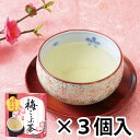 【マラソン最大1600円クーポン】ちきりや「梅こぶ茶スティックタイプ(20本入り)×3箱」メーカー直送品 ※他ブランド商品と併買不可※ 粉末 梅昆布茶 お茶漬け 国産 茶 お茶 ドリンク プレゼント ギフト (代引不可)