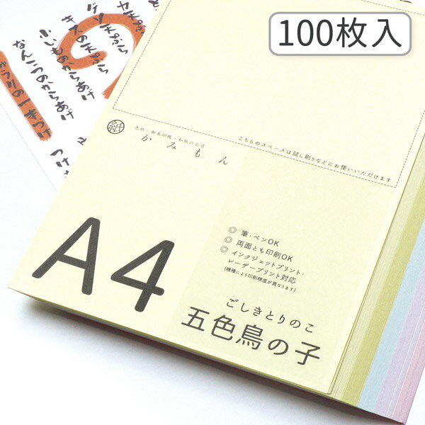 【最大1500円引クーポン】かみもん 和紙のコピー用紙 A4サイズ 五色鳥の子紙 100枚入り 5色×20枚 29.7×21(cm) カラフル ピンク 紫 黄色 黄緑 水色 高級 お手紙 お礼状 メニュー 和紙 プリンター用紙 無地 多用途 資料 印刷 鳥の子 大量 まとめ買い お買い得