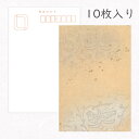 かみもん 和紙はがき「光琳 その六」10枚入りパック ベージュの柄ボカシ砂子切箔 ハガキ 葉書 おしゃれ 作品 上品 優雅 ステキ 和風 和柄 レトロ 厚口 お...