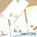 【LINE友だちクーポン有】かみもん ぽち袋 味かくシリーズ 5柄×10枚入り(2) まとめ買い 松師古の世界 青もみじ 柿 唐辛子 くわい たけのこ景色 ポチ袋 ミニ封筒 お年玉 おこづかい 心付け おもしろ おしゃれ かわいい 可愛い ユニーク 和風 大量 あす楽
