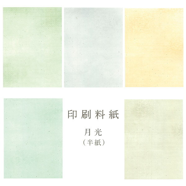 【最大1500円クーポン】かみもん 印刷料紙 月光(絹目入り) 半紙判 50枚入 五色セット 24.2×33.3cm 書道料紙 印刷料紙 黄色 緑 灰色 水色 ...