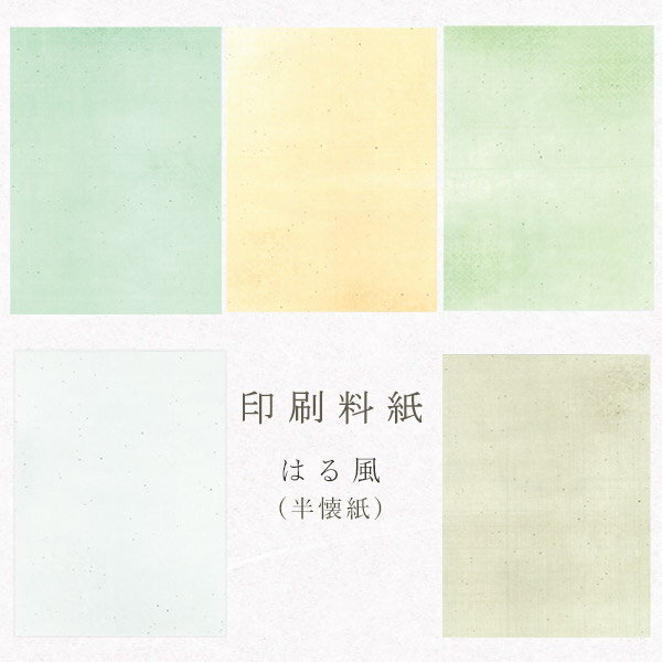 かみもん 印刷料紙 はる風 半懐紙判 50枚入 五色セット 25×36.4cm 書道料紙 印刷料紙 青 橙 緑 白 茶 カラフル 書道 習字 お稽古用 他多目的ご利用可 まとめ買い 大量 教室 作品づくり 高級 あす楽