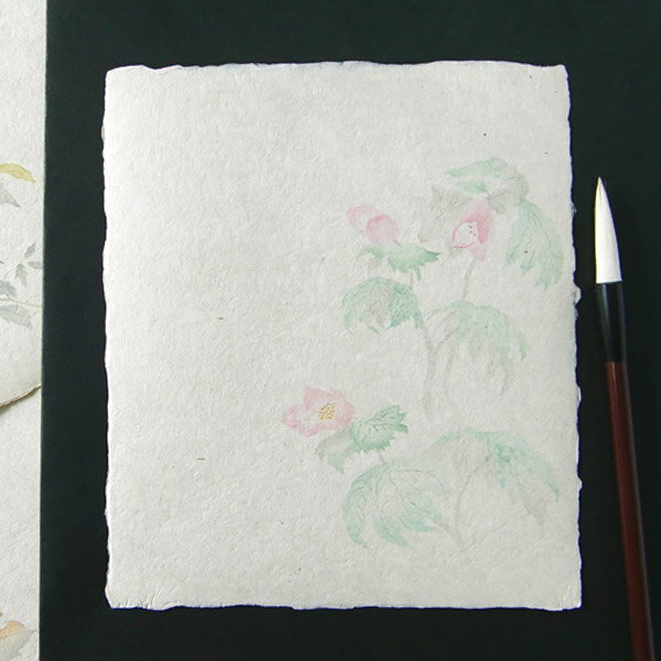 かみもん 石州大色紙 耳付き 白根葵 no620 木版刷 約28×24.2(cm) 1枚入り 石州 和紙 シラネアオイ 葵 草 花 夏 四季 書道 教室 習字 ...