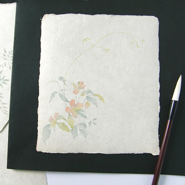 かみもん 石州大色紙 耳付き 深山半鐘蔓 no620 木版刷 約28×24.2(cm) 1枚入り 石州 和紙 ミヤマハンショウヅル 草 花 夏 四季 書道 教室...