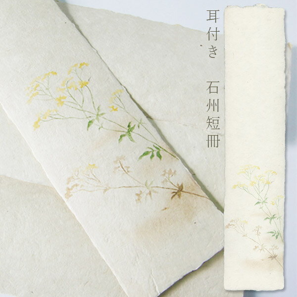 かみもん 石州短冊色紙 耳付き 木版刷 おみなえし 柄入り 約36.3×8(cm) 1枚入り 石州 和紙 草 花 女郎花 オミナエシ チメグサ 敗醤 はいしょう...