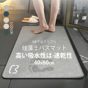 珪藻土バスマット 珪藻土マット 珪藻土 プレゼント ギフト バスマット 足拭きマット 足ふきマット お風呂マット 水切りマット 速乾 吸水 おしゃれ 可愛い かわいい 北欧 お祝い 贈り物 内祝 新築祝(3)