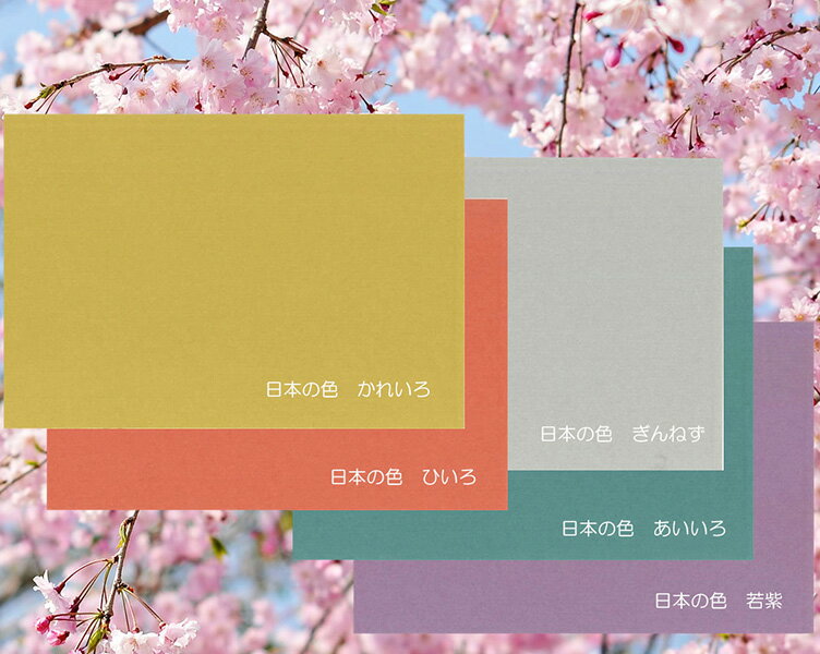 カラー和紙テーブルマット　日本の色　業務用　100枚1単位