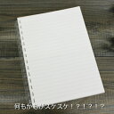 スケルトンノート