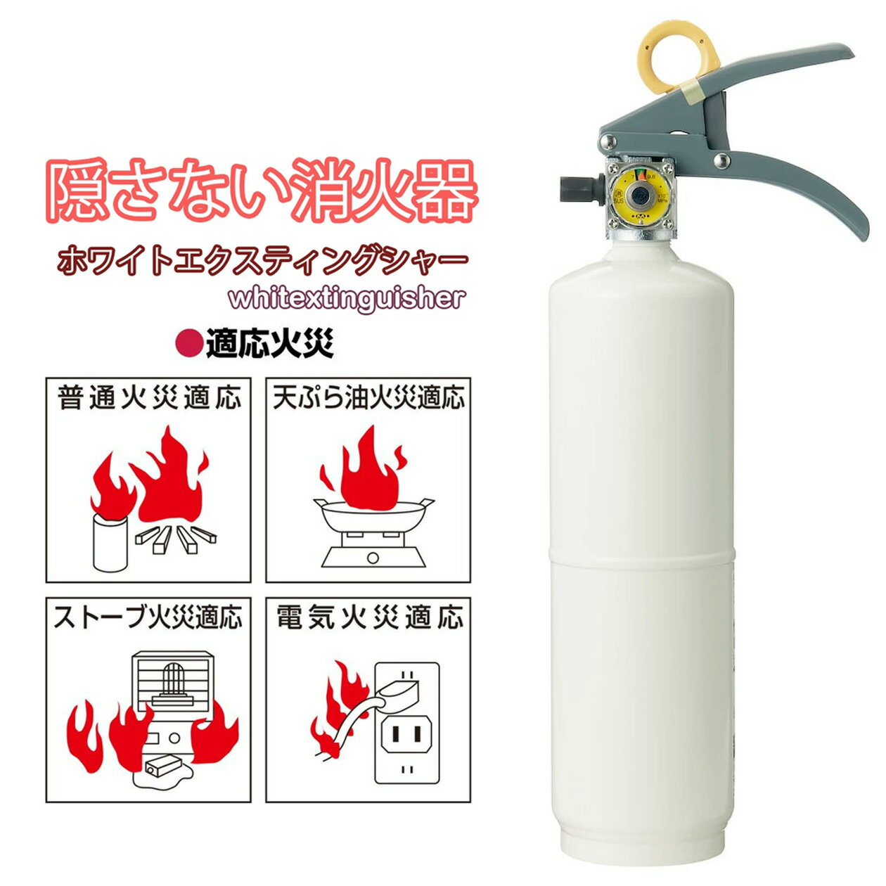 򤤾òд ƥꥢ ǥ ۥ磻ȶ֤⤷ʤǥѾòд£ʪ˹ޤ뤪ҳкƥФ򰷤åפʥӥ...