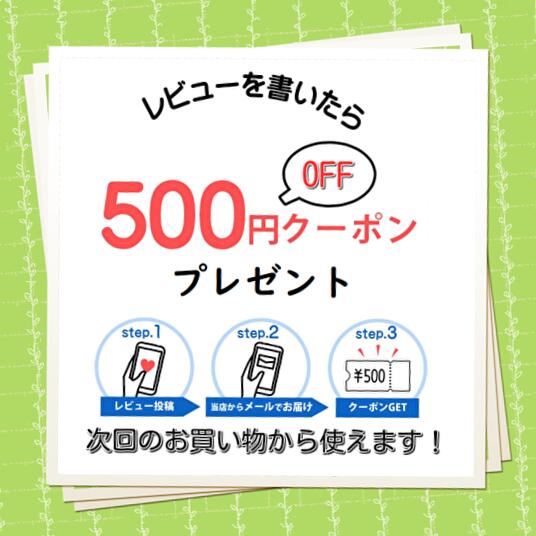 5月最大350円OFFクーポン 【特殊紙】ニュ...の紹介画像3