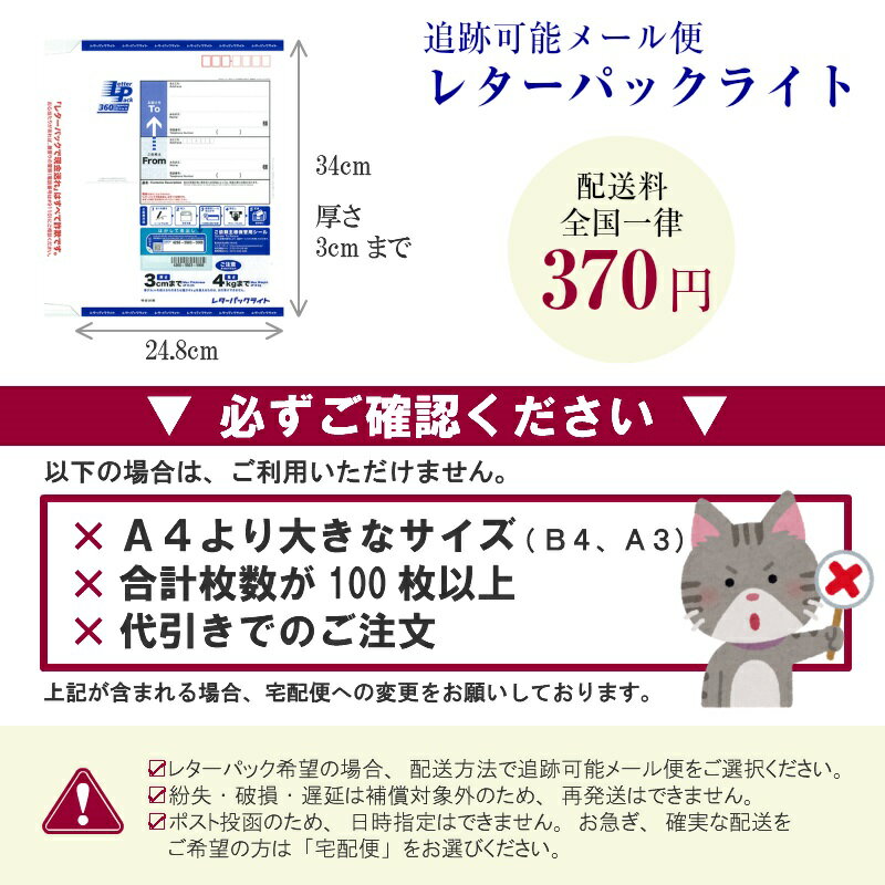 5月最大350円OFFクーポン 【特殊紙】エスプリSS-F 270kg(0.37mm) A4 50枚【キャストコート ケント紙 ツルツル】 3