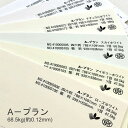 楽天KAMIOLSHOP 楽天市場店5月最大350円OFFクーポン 【特殊紙】A－プラン 68.5kg（0.12mm）選べる6色【ファンシーペーパー 印刷用紙 平らな紙 ラフ肌 サラサラ 嵩高】