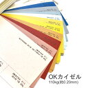 7月最大1,000円OFFクーポン 【特殊紙】OKカイゼル 110kg(0.20mm) B5 100枚選べる24色【ファンシーペーパー 印刷用紙 ブレンド模様 髭 クラフト ナチュラル バックグラウンド 背景紙 押し花】