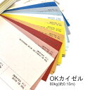 7月最大1,000円OFFクーポン 【特殊紙】OKカイゼル 80kg(0.15mm) A4 100枚選べる24色【ファンシーペーパー 印刷用紙 ブレンド模様 髭 クラフト ナチュラル バックグラウンド 背景紙 押し花】