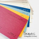 6月最大1,000円OFFクーポン 【特殊紙】OKぬのじ 120kg(0.21mm) B4 100枚【ファンシーペーパー 印刷用紙 布地模様 エンボス 和風】(2)