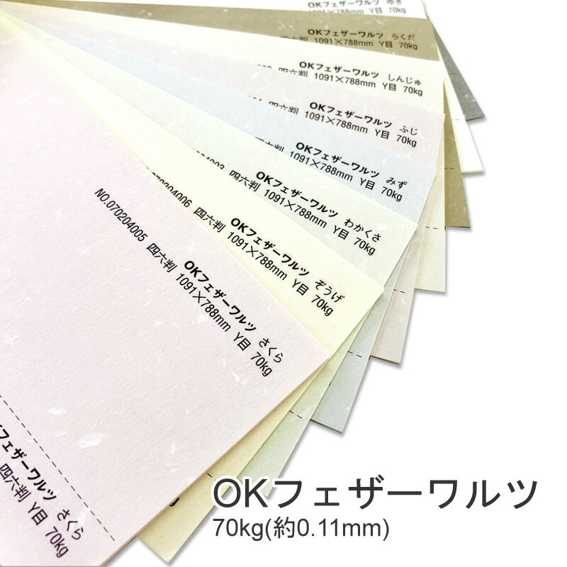 楽天KAMIOLSHOP 楽天市場店5月最大350円OFFクーポン 【特殊紙】OKフェザーワルツ 70kg（0.11mm） A4 50枚選べる9色【ファンシーペーパー 印刷用紙 表紙 ウェディング ブライダル ブレンド模様 和風 洋風 しおり 遊び紙】