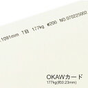 4月最大350円OFFクーポン OKAWカード 177kg(0.23mm) B5 100枚