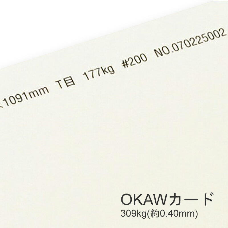 セール限定250円OFFクーポン OKAWカード 309kg(0.40mm) B4 50枚