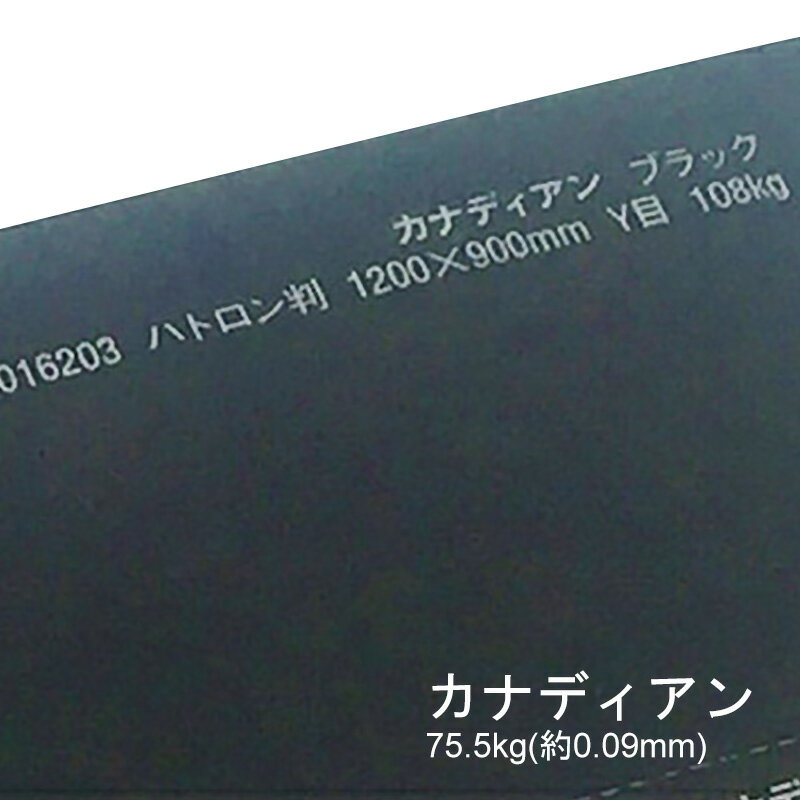 セール限定250円OFFクーポン 【特殊紙】カナディアン 75.5kg 0.09mm 【ファンシーペーパー 黒い紙 包装用紙】