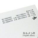 4月最大1,000円OFFクーポン 【特殊紙】カルメンR 31kg(0.39mm)【ファンシーペーパー 白ボード紙】