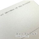 5月最大350円OFFクーポン 【特殊紙】スノーフィールド 105kg 0.17mm 【ファンシーペーパー 印刷用紙 パール加工】