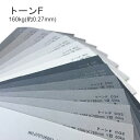 6月最大1,000円OFFクーポン 【特殊紙】トーンF 160kg(0.27mm)【ファンシーペーパー ラフ調 グレートーン 灰色】(2)