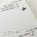 4月最大1,000円OFFクーポン 【特殊紙】ハイブランカR 22.5kg(0.27mm)【ファンシーペーパー 印刷用紙】