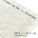 5月最大350円OFFクーポン 【特殊紙】OKミューズパール 170kg 0.23mm 【ファンシーペーパー 印刷用紙 パール加工 和風 光沢 模様紙】