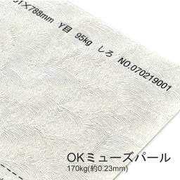 3月最大350円OFFクーポン 【特殊紙】OKミューズパール 170kg(0.23mm) B4 50枚【ファンシーペーパー 印刷用紙 パール加工 和風 光沢 模様紙】