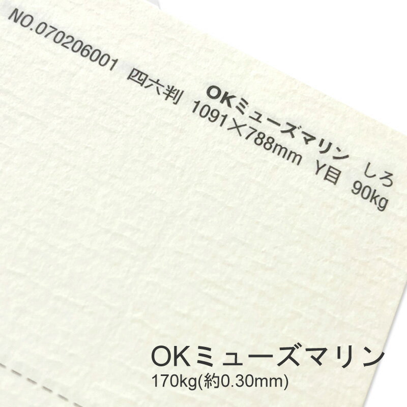 6ő350~OFFN[| yꎆzOK~[Y} 170kg(0.30mm) Fyt@V[y[p[ p g͗l ̖ ╿z