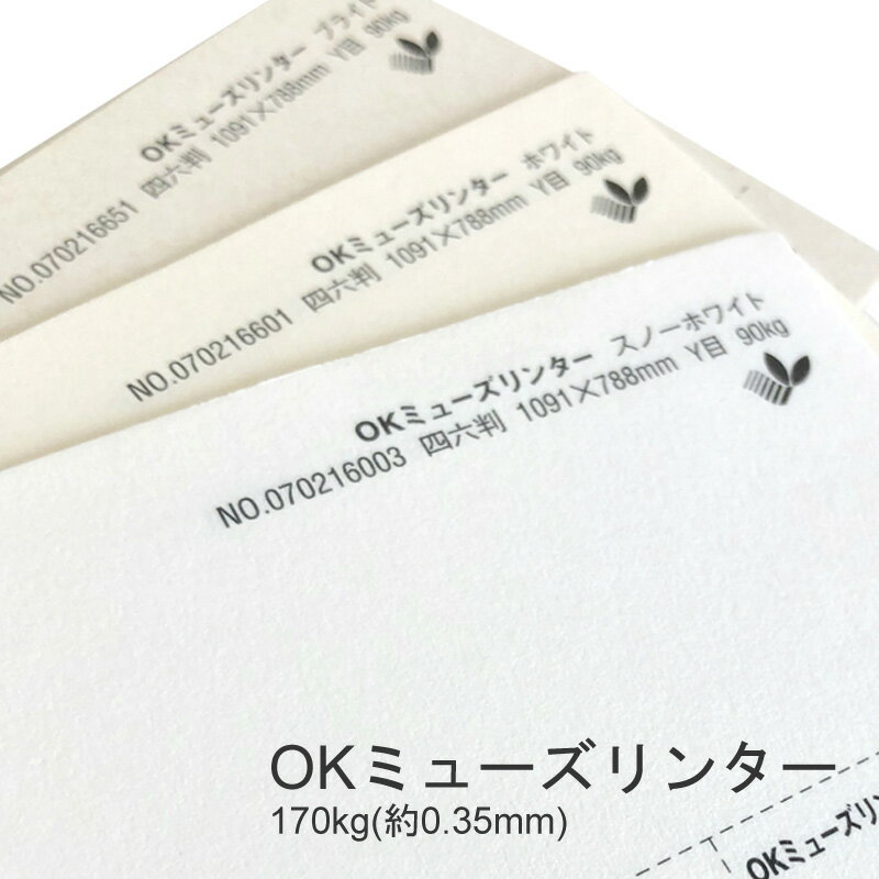 6ő350~OFFN[| yꎆzOK~[Y^[ 170kg(0.35mm) A4 100Iׂ3Fyt@V[y[p[ p  ӂӂ z