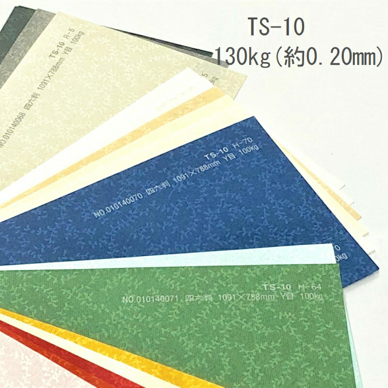 6月最大350円OFFクーポン 【特殊紙】TS-10(タントセレクト10) 130kg(0.20mm) A3 50枚【ファンシーペーパー 印刷用紙 結婚式 招待状 型押し模様 エンボス アルバム台紙 モビール ガーランド】