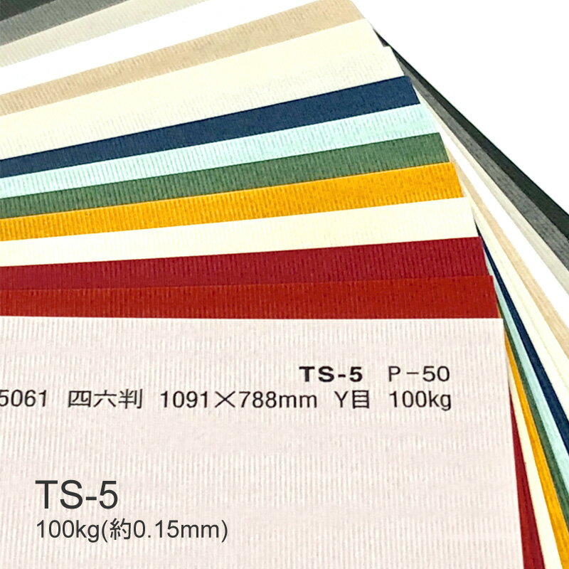 5月最大350円OFFクーポン 【特殊紙】TS-5(タントセレクト5) 100kg(0.15mm) A4 100枚選べる3色【ファンシーペーパー 印刷用紙 型押し模..