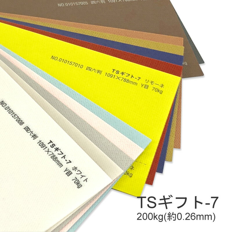 Z[250~OFFN[| yꎆzTSMtg-7(^gZNgMtg-7) 200kg(0.26mm) A3 100Iׂ12Fyt@V[y[p[ p ^͗l G{Xz