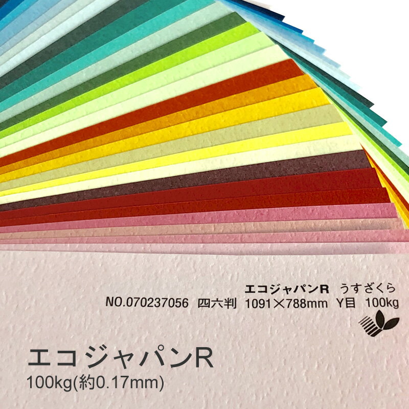 セール限定250円OFFクーポン エコジャパンR 100kg(0.17mm) A3 100枚選べる45色(な～わ行)