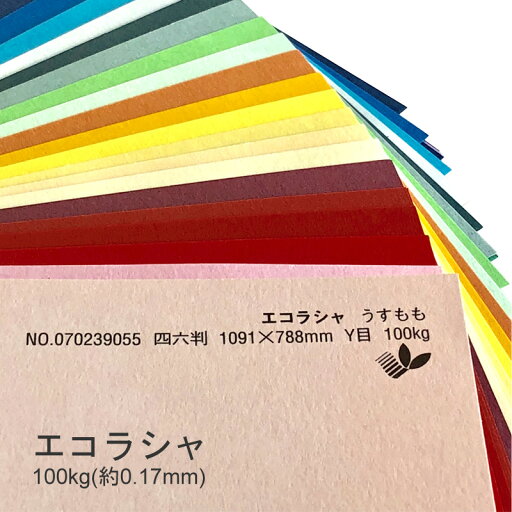 8月最大1,000円OFFクーポン 【選べる38色】 エコラシャ 100kg 厚さ 0.17mm A4 50枚 ファンシーペーパー 印刷用紙 色画用紙 ラフ肌 インクジェットプリンタOK レーザープリンタOK 発色良好 書籍類の表紙 カード 案内状 ラシャ風 8月最大1,000円OFFクーポン 【選べる38色】 エコラシャ 100kg 厚さ 0.17mm A4 50枚 ファンシーペーパー 印刷用紙 色画用紙 ラフ肌 インクジェットプリンタOK レーザープリンタOK 発色良好 書籍類の表紙 カード 案内状 ラシャ風