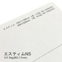 3月最大350円OFFクーポン 【特殊紙】エスティムNS 107.5kg(0.17mm) B4 100枚【インクジェット用紙 プリンター用紙】