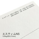 5月最大350円OFFクーポン 【特殊紙】エスティムNS 128kg(0.21mm) B4 100枚【インクジェット用紙 プリンター用紙】