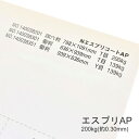 4月最大1,000円OFFクーポン 【特殊紙】エスプリAP 200kg(0.30mm)【プリンター用紙 キャストコート】