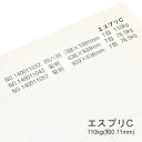 4月最大1,000円OFFクーポン 【特殊紙】エスプリC 110kg(0.11mm)【プリンター用紙 キャストコート】