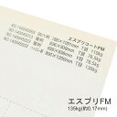 9月最大800円OFFクーポン 【特殊紙】エスプリFM 135kg(0.17mm) A3 100枚【キャストコート 製袋用 ツルツル】